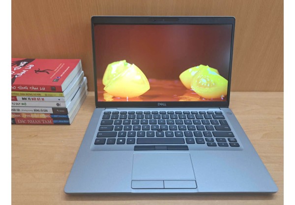 Dell Latitude 5411 i5 10310H 8G 256G 14" A1