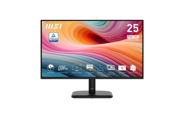 LCD MSI Pro MP251 E2 new